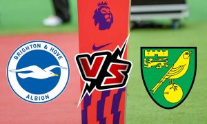 مشاهدة مباراة نوريتش سيتي و برايتون بث مباشر Norwich City vs Brighton & Hove Albion