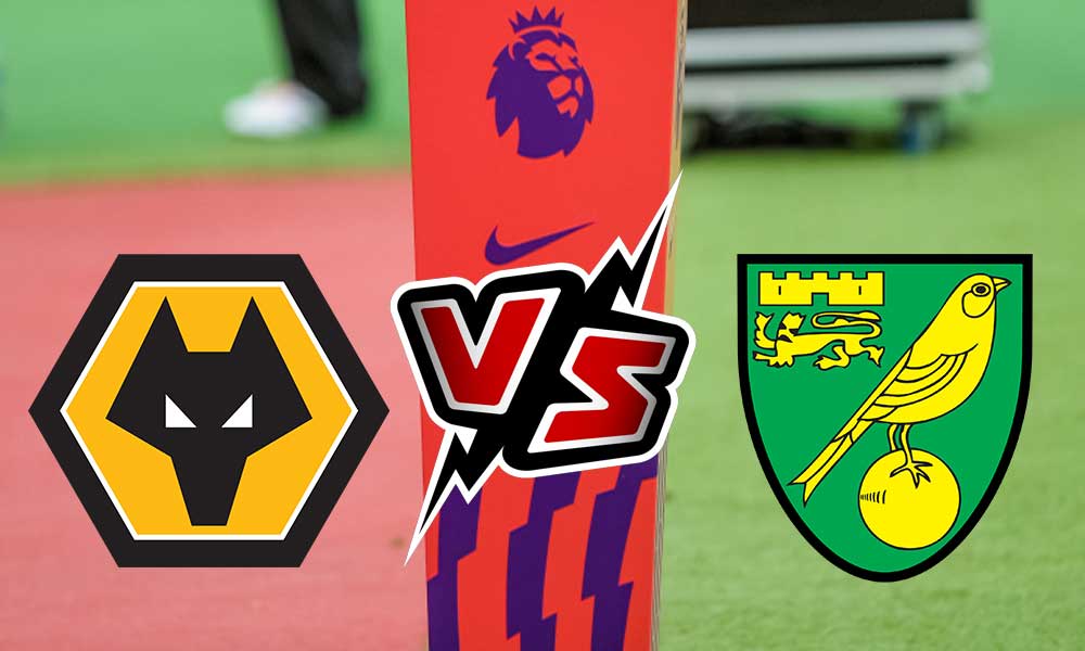 مشاهدة مباراة نوريتش سيتي و وولفرهامبتون بث مباشر Norwich City vs Wolverhampton Wanderers