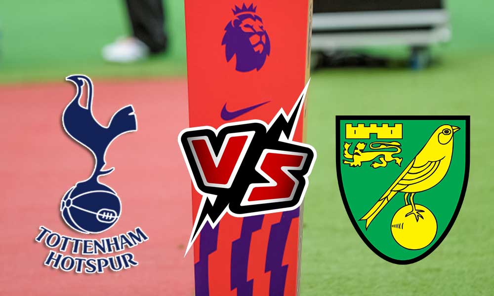مشاهدة مباراة توتنهام هوتسبير و نوريتش سيتي بث مباشر Tottenham Hotspur vs Norwich City