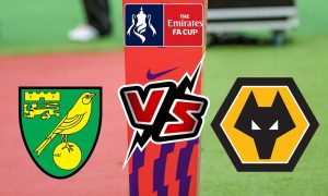 مشاهدة مباراة وولفرهامبتون و نوريتش سيتي بث مباشر 05-02-2022 Wolverhampton vs Norwich City