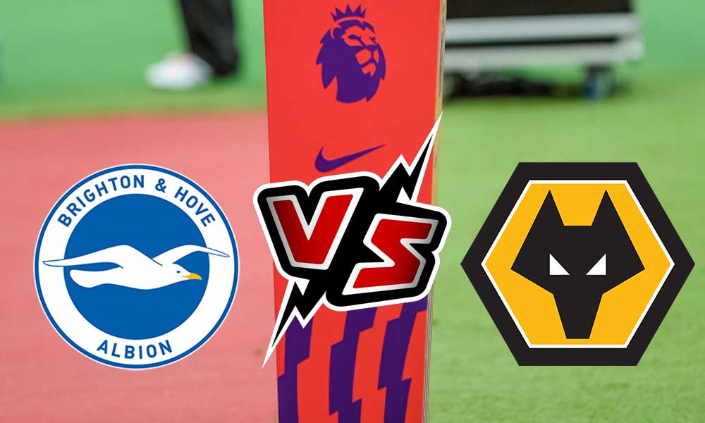 مشاهدة مباراة وولفرهامبتون و برايتون بث مباشر 05/11/2022 Wolverhampton Wanderers vs Brighton